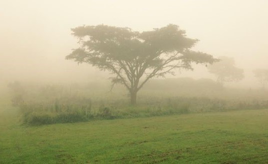 4 People I Met in Africa