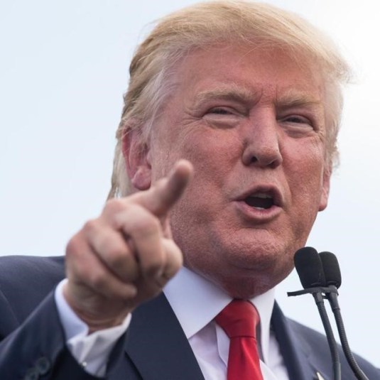 Donald Trump Is a Fool